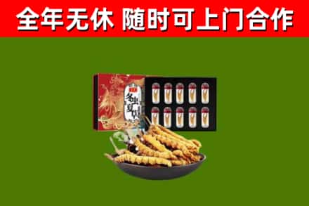 陆河县回收冬虫夏草价格